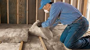 Best Insulation for New Construction  in Canastota, NY